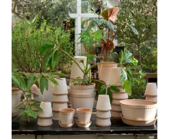 Bergs Potter Helena Kruka med Fat Raw Rosa Terracotta Ø18