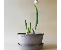 Bergs Potter Helena Low Kruka med Fat Raw Grey Terracotta Ø21