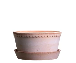Bergs Potter Helena Low Kruka med Fat Raw Rosa Terracotta Ø21