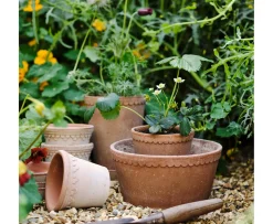 Bergs Potter Helena Low Kruka med Fat Raw Rosa Terracotta Ø21