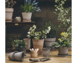 Bergs Potter Julie Kruka med Fat Raw Grey Terracotta Ø45