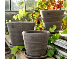 Bergs Potter Julie Kruka med Fat Raw Grey Terracotta Ø45