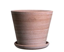 Bergs Potter Julie Kruka med Fat Raw Rosa Terracotta Ø45