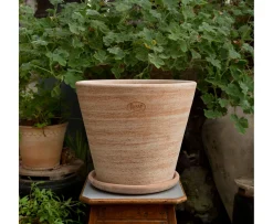 Bergs Potter Julie Kruka med Fat Raw Rosa Terracotta Ø45