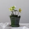 Bergs Potter Københavner Kruka med Fat Glazed Emerald Green Ø14
