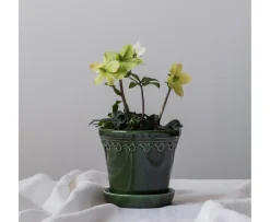 Bergs Potter Københavner Kruka med Fat Glazed Emerald Green Ø14