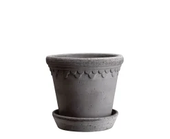 Bergs Potter Københavner Kruka med Fat Raw Grey Terracotta Ø16