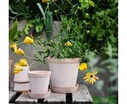 Bergs Potter Københavner Kruka med Fat Raw Rosa Terracotta Ø21