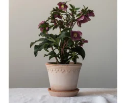 Bergs Potter Københavner Kruka med Fat Raw Rosa Terracotta Ø30