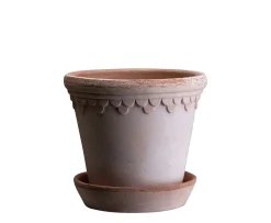 Bergs Potter Københavner Kruka med Fat Raw Rosa Terracotta Ø18