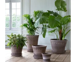 Bergs Potter Københavner Kruka Raw Grey Terracotta Ø70