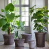 Bergs Potter Københavner Kruka Raw Grey Terracotta Ø50