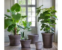 Bergs Potter Københavner Kruka Raw Grey Terracotta Ø50