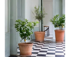 Bergs Potter Københavner Kruka Raw Rosa Terracotta Ø70