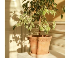 Bergs Potter Københavner Kruka Raw Rosa Terracotta Ø50