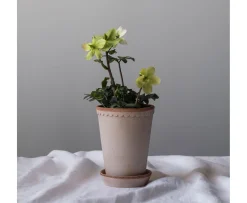 Bergs Potter Københavner Tall Kruka med Fat Raw Rosa Terracotta Ø18