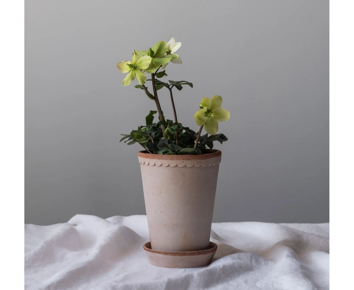 Bergs Potter Københavner Tall Kruka med Fat Raw Rosa Terracotta Ø18