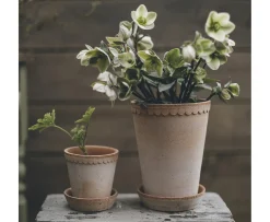 Bergs Potter Københavner Tall Kruka med Fat Raw Rosa Terracotta Ø14