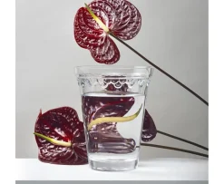 Bergs Potter Københavner Vas Glass Clear 21cm