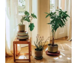 Bergs Potter Lily Fat Glazed Misty Blue Ø21