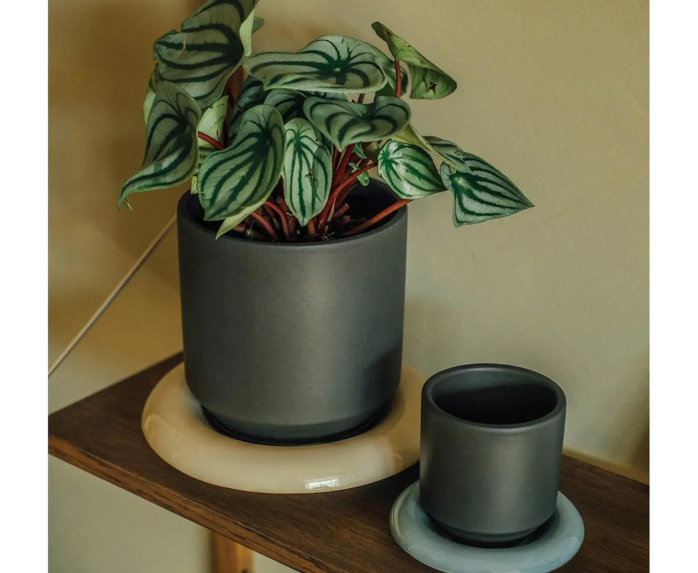 Bergs Potter Lily Fat Glazed Sandstone Ø21