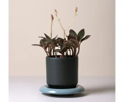 Bergs Potter Lily Kruka Glazed Forest Night Ø25