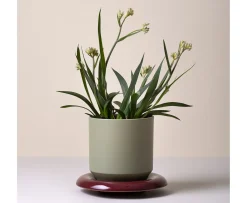 Bergs Potter Lily Kruka Glazed Sage Green Ø18