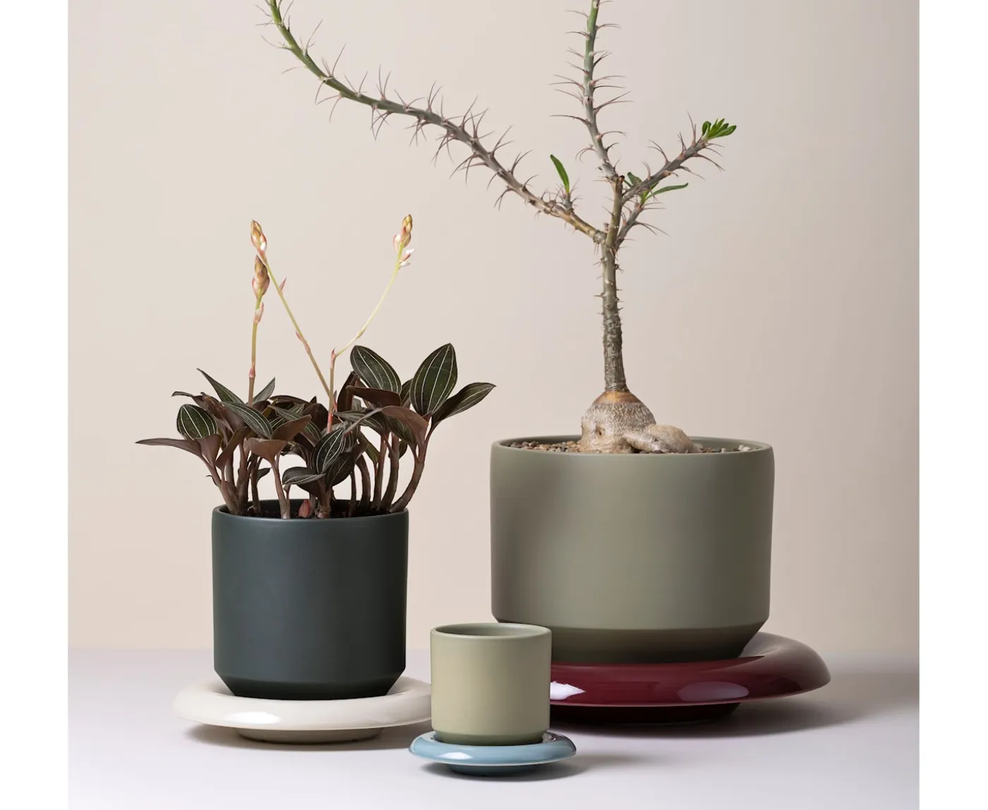 Bergs Potter Lily Kruka Glazed Sage Green Ø21