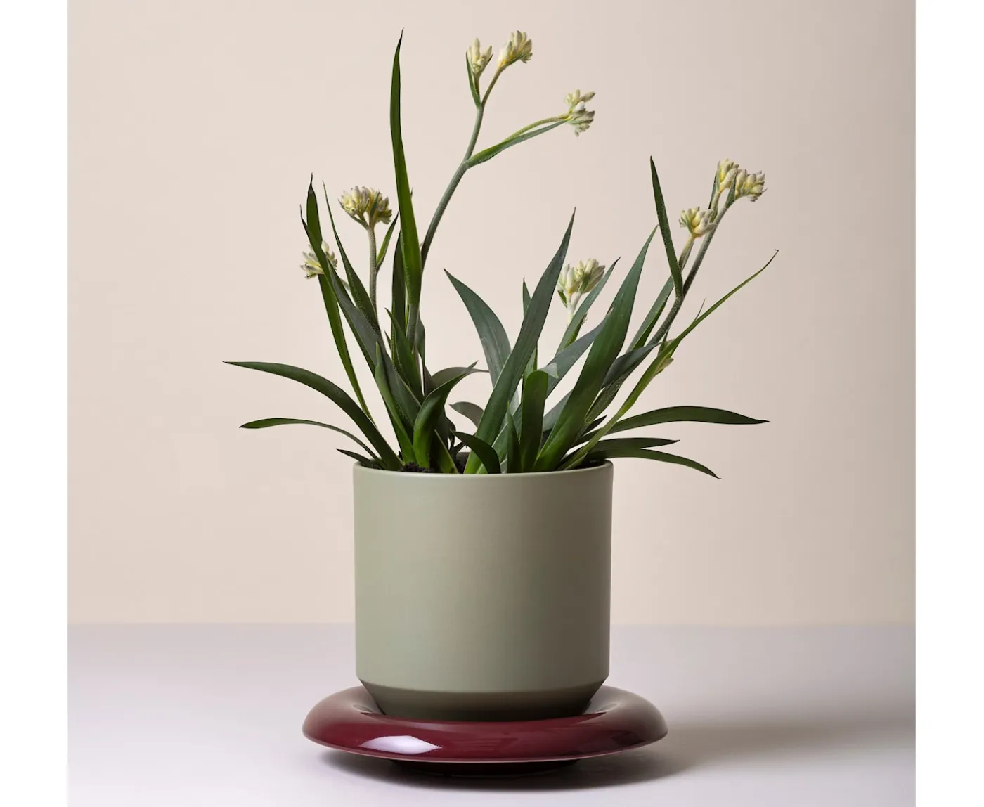 Bergs Potter Lily Kruka Glazed Sage Green Ø21