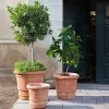 Bergs Potter Lucca Kruka Raw Rosa Terracotta Ø60