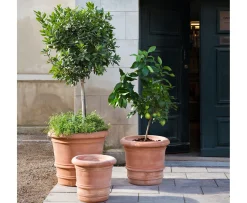 Bergs Potter Lucca Kruka Raw Rosa Terracotta Ø50
