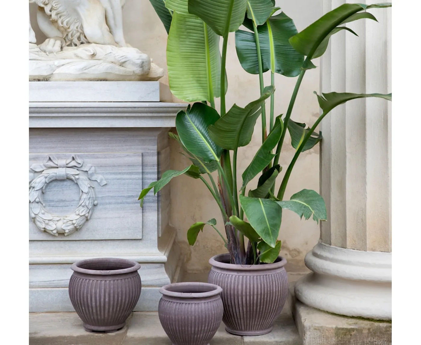 Bergs Potter Piccolina Kruka Raw Grey Terracotta Ø40