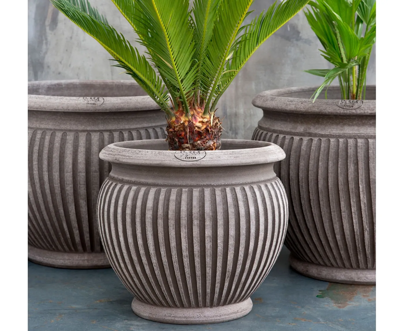 Bergs Potter Piccolina Kruka Raw Grey Terracotta Ø40