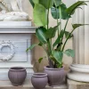 Bergs Potter Piccolina Kruka Raw Grey Terracotta Ø30