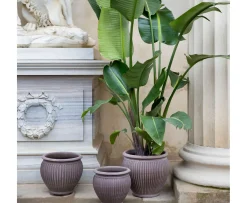 Bergs Potter Piccolina Kruka Raw Grey Terracotta Ø30