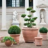 Bergs Potter Piccolina Kruka Raw Rosa Terracotta Ø30