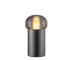 Blomus Iris Portabel Bordslampa Gun Metal 18cm