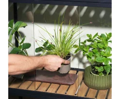 Brafab Grower Växthus Black Small