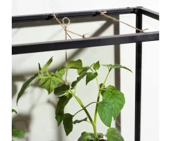 Brafab Grower Växthus Black Tall