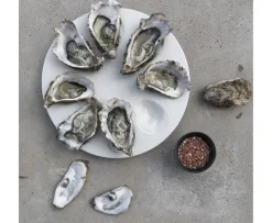 Byon Oyster Serveringsfat White Ø27