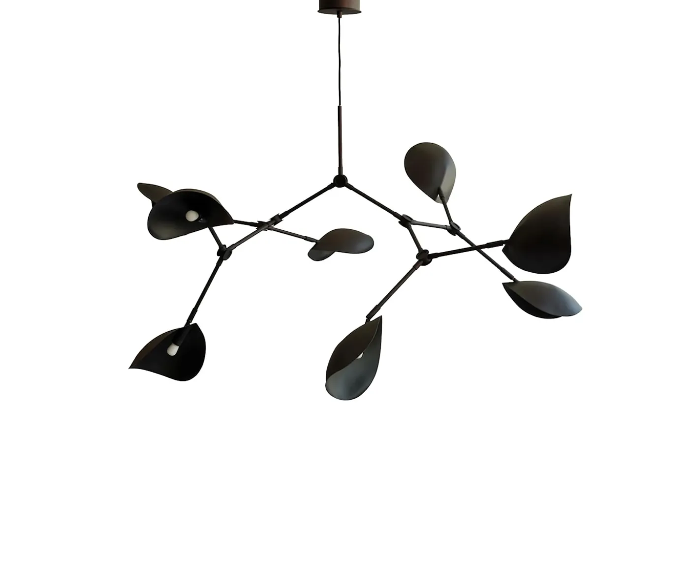 101 Copenhagen Stingray Taklampa Burned Black 152cm