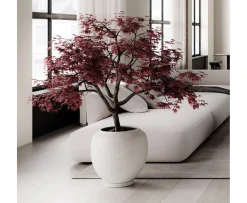 101 Copenhagen Sunao Kruka Birch Hexa