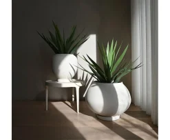 101 Copenhagen Sunao Kruka med Fat Birch Big
