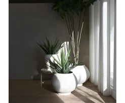 101 Copenhagen Sunao Kruka med Fat Birch Big