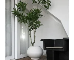 101 Copenhagen Sunao Kruka med Fat Birch Hexa