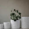 DBKD Cloudy Kruka Matte White Medium