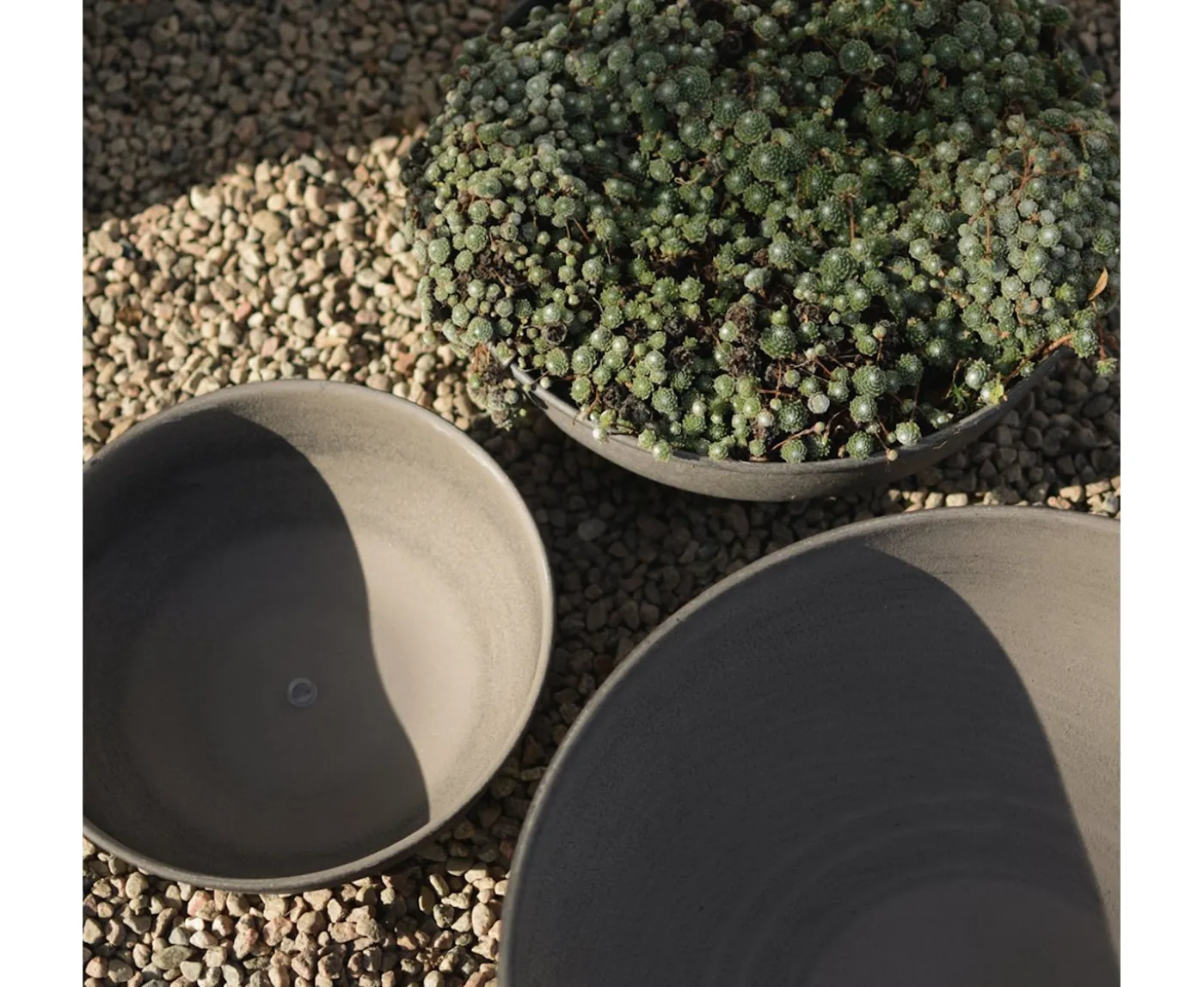 DBKD Out Bowl Brown 3-pack