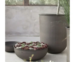 DBKD Out Bowl Brown 3-pack