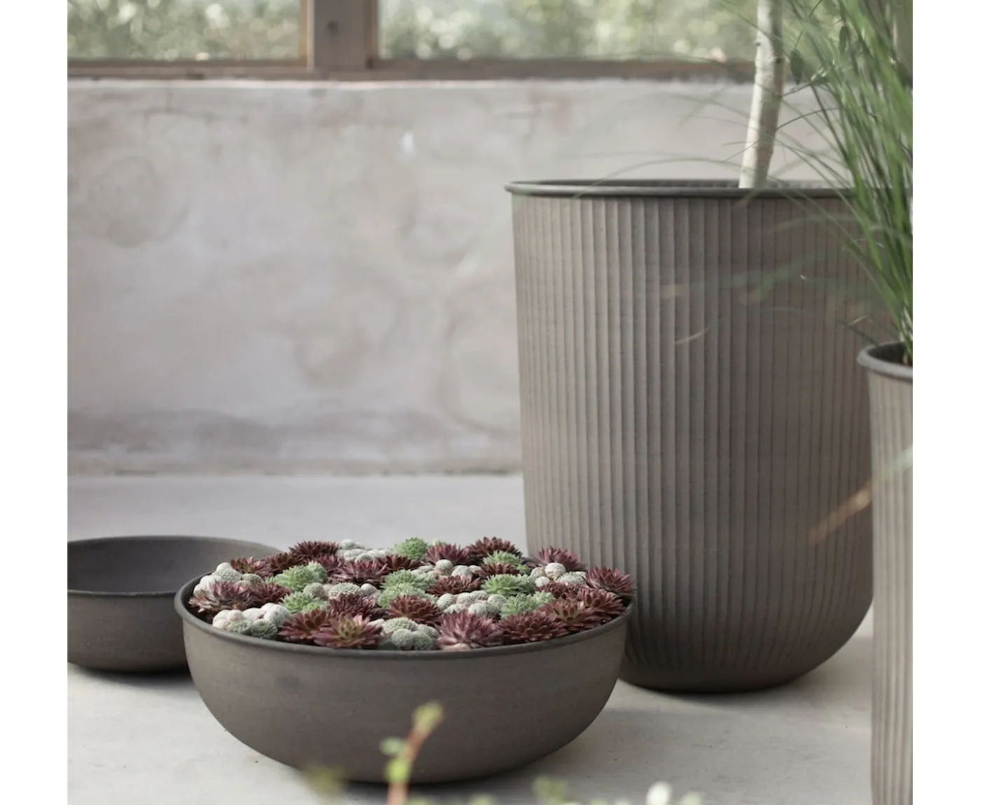 DBKD Out Bowl Brown 3-pack