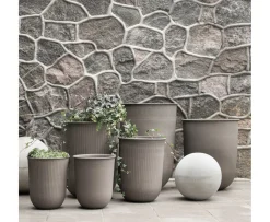 DBKD Out Kruka Brown 4-pack